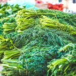 Pile of Dill for Sale