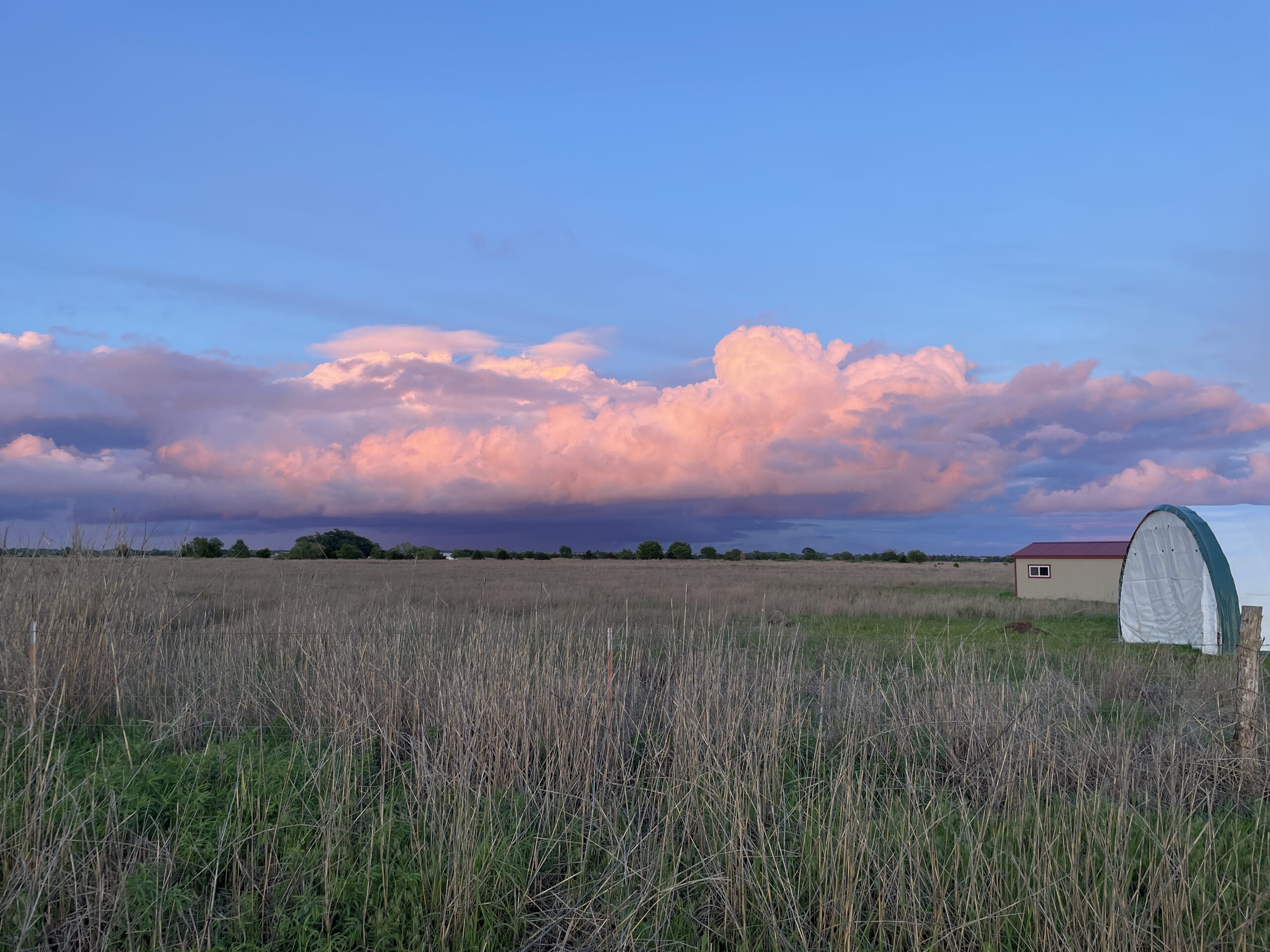 Storm clouds lit pink at sunset over tallgrass prairie beside the farm's high tunnel